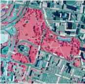 2010 GIS Aerial Image